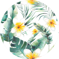 Summer Plumeria Flowers And Palms Pattern Sticker