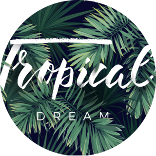 Summer Tropical Dream Green Palm Leaves Sticker