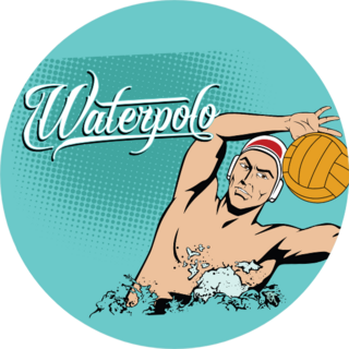 Summer Water Polo Comic Book Sticker