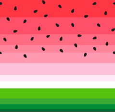 Summer Watermelon Sticker