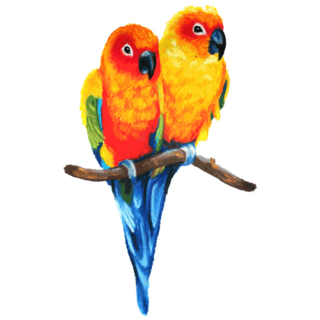 Sun Parakeets Sticker