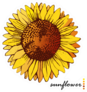 Sunflower Artwork Sticker