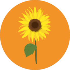 Sunflower Circle Sticker