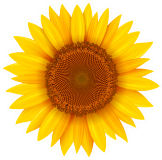 Sunflower Isolated Sticker