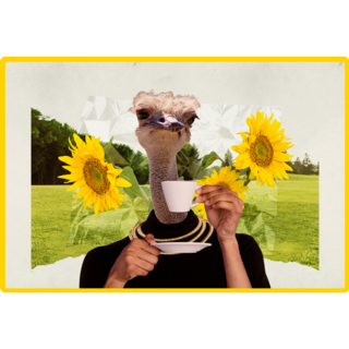 Sunflower Ostrich Sticker