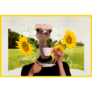 Sunflower Ostrich Sticker
