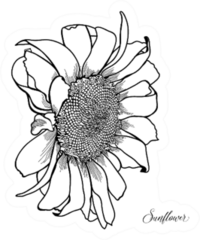 Sunflower Vintage Hand-drawn Sticker