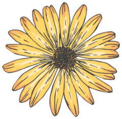 Sunflowers Line Art Illustration Sticker