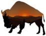 Sunrise Buffalo Double Exposure Sticker