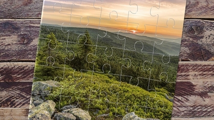 Sunset Forest Photo 25 Piece Square Puzzle