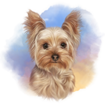 Sunset Yorkie Watercolor Sticker