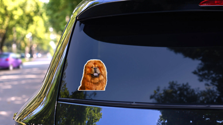 Super Fluffy Chow Sticker on a Rear Car Window (New) example