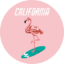 Surfing Flamingo California Sticker