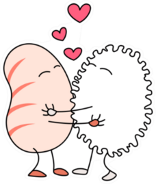 Sushi And Rice Ball Love Sticker