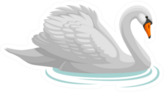 Swan Sticker