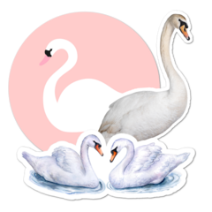Swan Thumbnail
