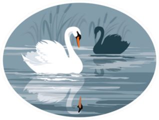 Swans Gliding On The Lake Oval Sticker