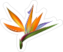 Sweet Bird of Paradise Flower Sticker