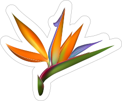 Sweet Bird of Paradise Flower Sticker
