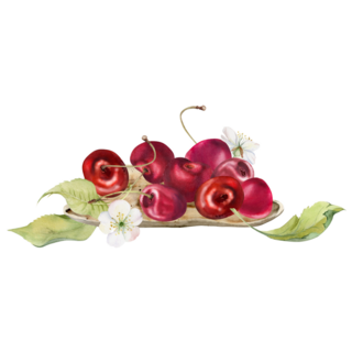 Sweet Cherry Sticker