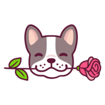 Sweet French Bulldog Rose Sticker