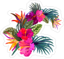 Sweet Hibiscus Flower Sticker