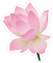 Sweet Pink Lotus Flower Sticker