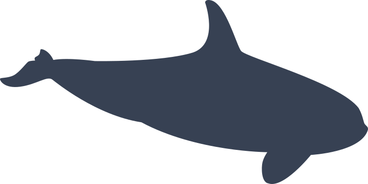 Sweet Simple Whale Sticker