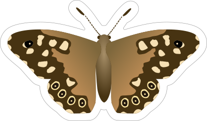 Sweet Spotted Butterfly Sticker