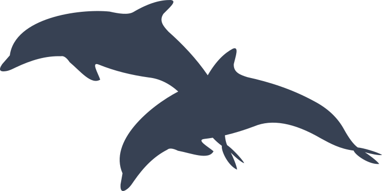 Swimming Dolphins Sticker