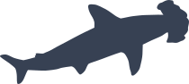 Swimming Hammerhead Shark Sticker