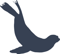 Swimming Sea Lion Seal Sticker