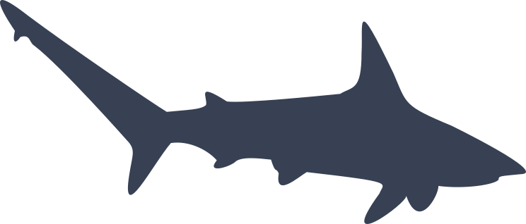 Swimming Shark Sticker