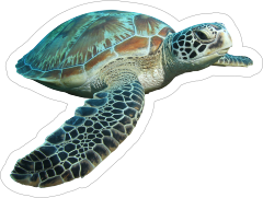Swimming Turtle Sticker