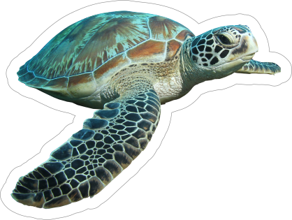 Swimming Turtle Sticker