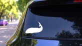 Swimming Whale Sticker on a Rear Car Window (New) example