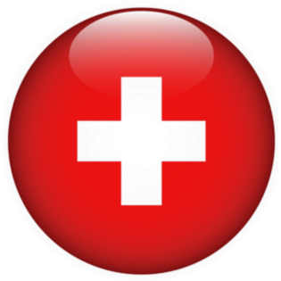 Car Chrome Decals Swiss Flag Emblem – Adhesive Decal For Car – Made In Canada