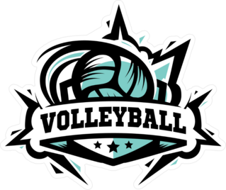 Swoosh Volleyball Logo Sticker
