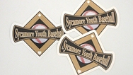 Sycamore Youth Basketball Custom Die Cut Stickers
