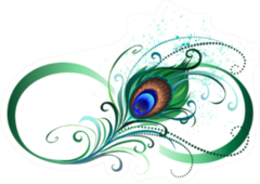 Symbol Of Infinity With Bright Peacock Feather Sticker