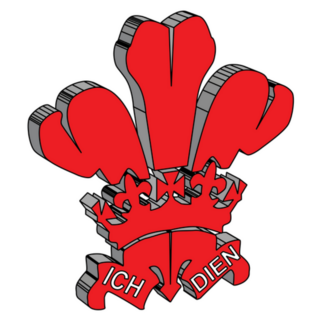 Symbol Or Prince Of Waless Feathers In 3d Sticker