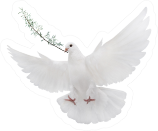 Symbol White Dove With Palm Branch Isolated On White Sticker
