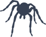 Symbolic Spider Sticker