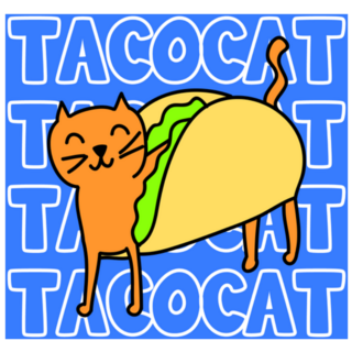 Taco Cat Square Slogan Sticker