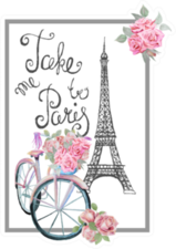 Take Me To Paris Bicycle Illustration Sticker