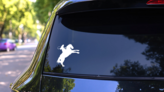 Talented Cowboy Riding A Horse Sticker on a Rear Car Window (New) example