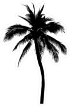 Tall Leaning Palm Tree Sticker