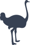 Tall Ostrich Sticker