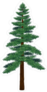 Tall Pine Tree Sticker