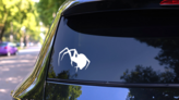 Tall Spider Sticker on a Rear Car Window (New) example